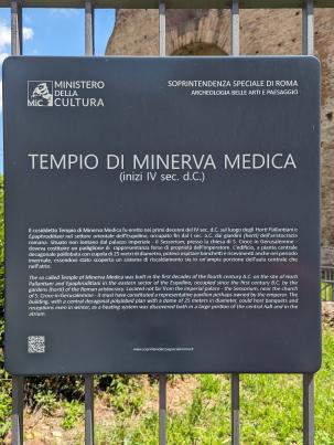 PXL_20240505_120040543