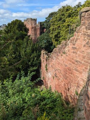 PXL_20240903_102933147