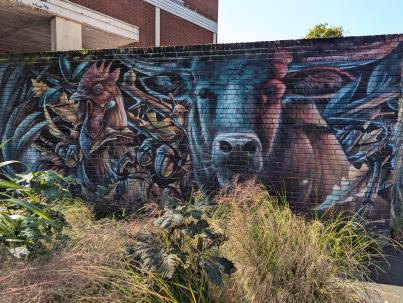 PXL_20240814_122312616