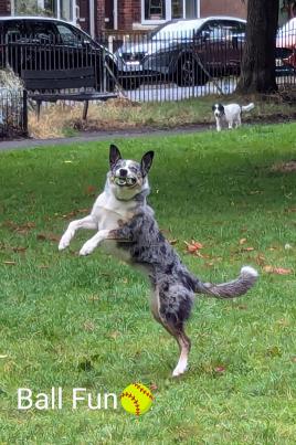 PXL_20240815_151059413~2