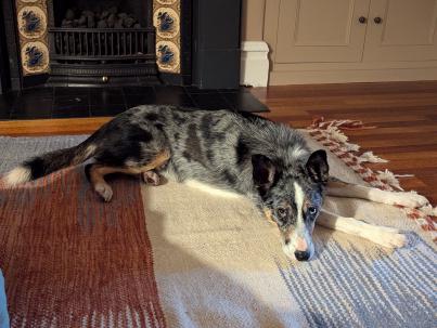 PXL_20240815_183010078