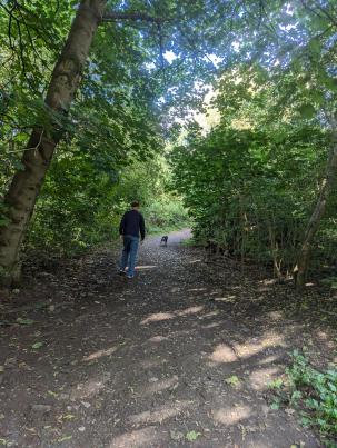 PXL_20240816_161826490