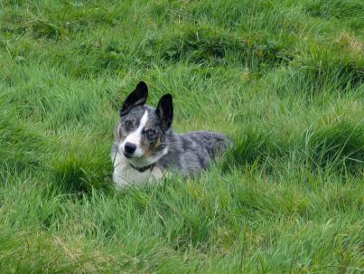 PXL_20240818_111542648