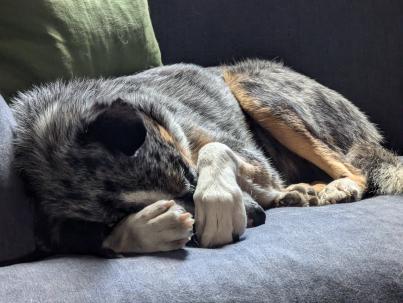 PXL_20240820_152834471