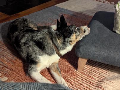 PXL_20240824_165959945