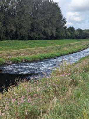 PXL_20240826_113241589