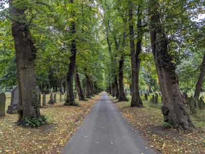 PXL_20240827_102759520