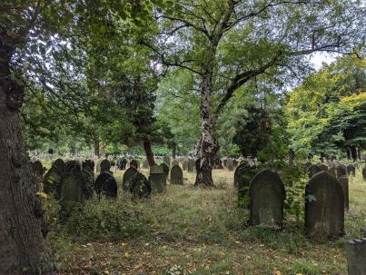 PXL_20240827_102808328