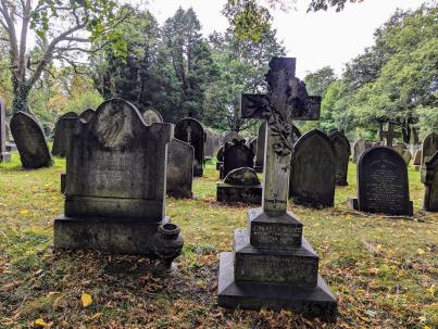 PXL_20240827_102931295