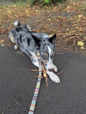 PXL_20240827_103001086