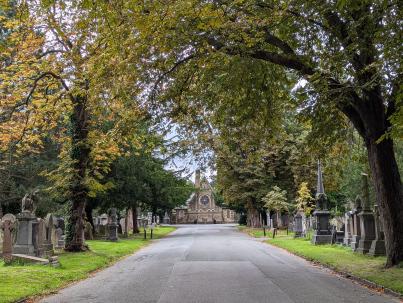 PXL_20240827_103107159