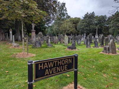 PXL_20240827_103208672