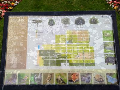 PXL_20240827_103644177