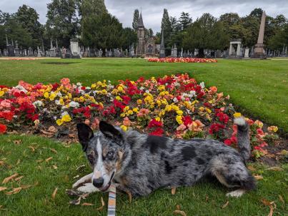 PXL_20240827_103704565