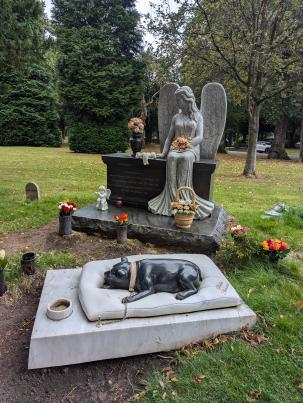 PXL_20240827_103911572