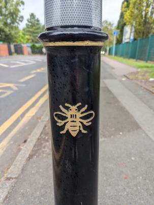 PXL_20240827_111534645