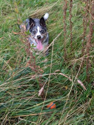 PXL_20240828_105744206