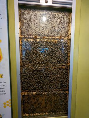 PXL_20231124_023055416