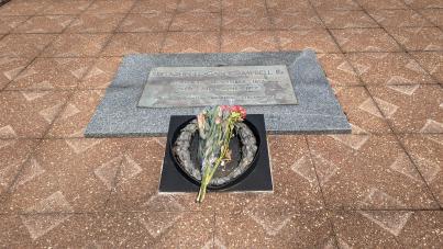 PXL_20231020_005759219