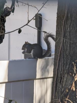 PXL_20240222_155100623