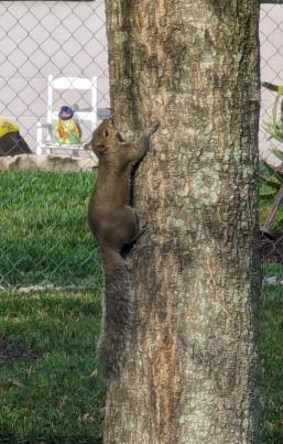 PXL_20240303_133627311~2