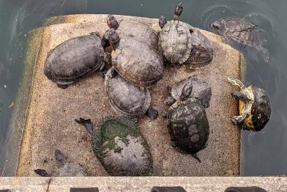 PXL_20240306_200043739~2