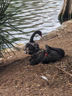 PXL_20240306_201824971