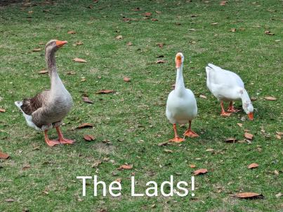 PXL_20240306_201958655~2