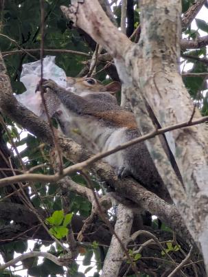 PXL_20240306_202321260~2