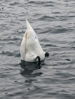 PXL_20240306_202747697