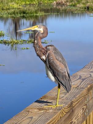 PXL_20230108_150856778