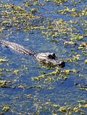 PXL_20230108_152636687