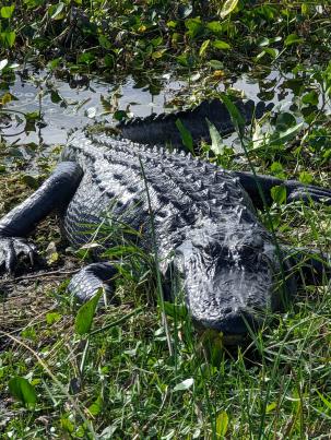 PXL_20230108_155223019