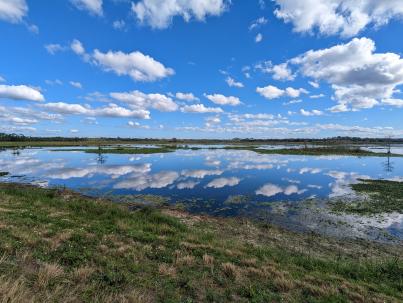 PXL_20230108_161913049