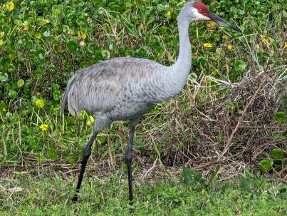 PXL_20230108_164817449