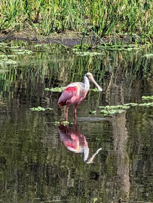 PXL_20230108_173215134