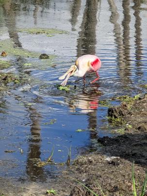 PXL_20230108_173429038