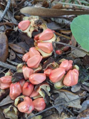 PXL_20230108_182114542