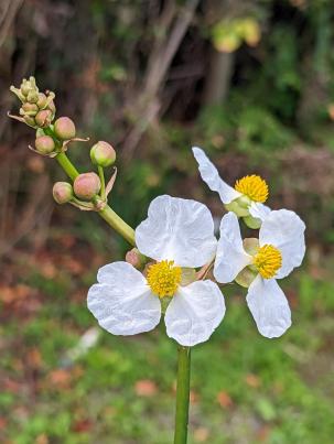 PXL_20230108_182248938