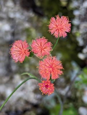 PXL_20230108_182324278