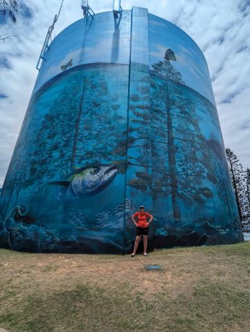Point Cartwright Lighthouse & Reserve, Kawana Beach