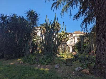 PXL_20240517_142656322